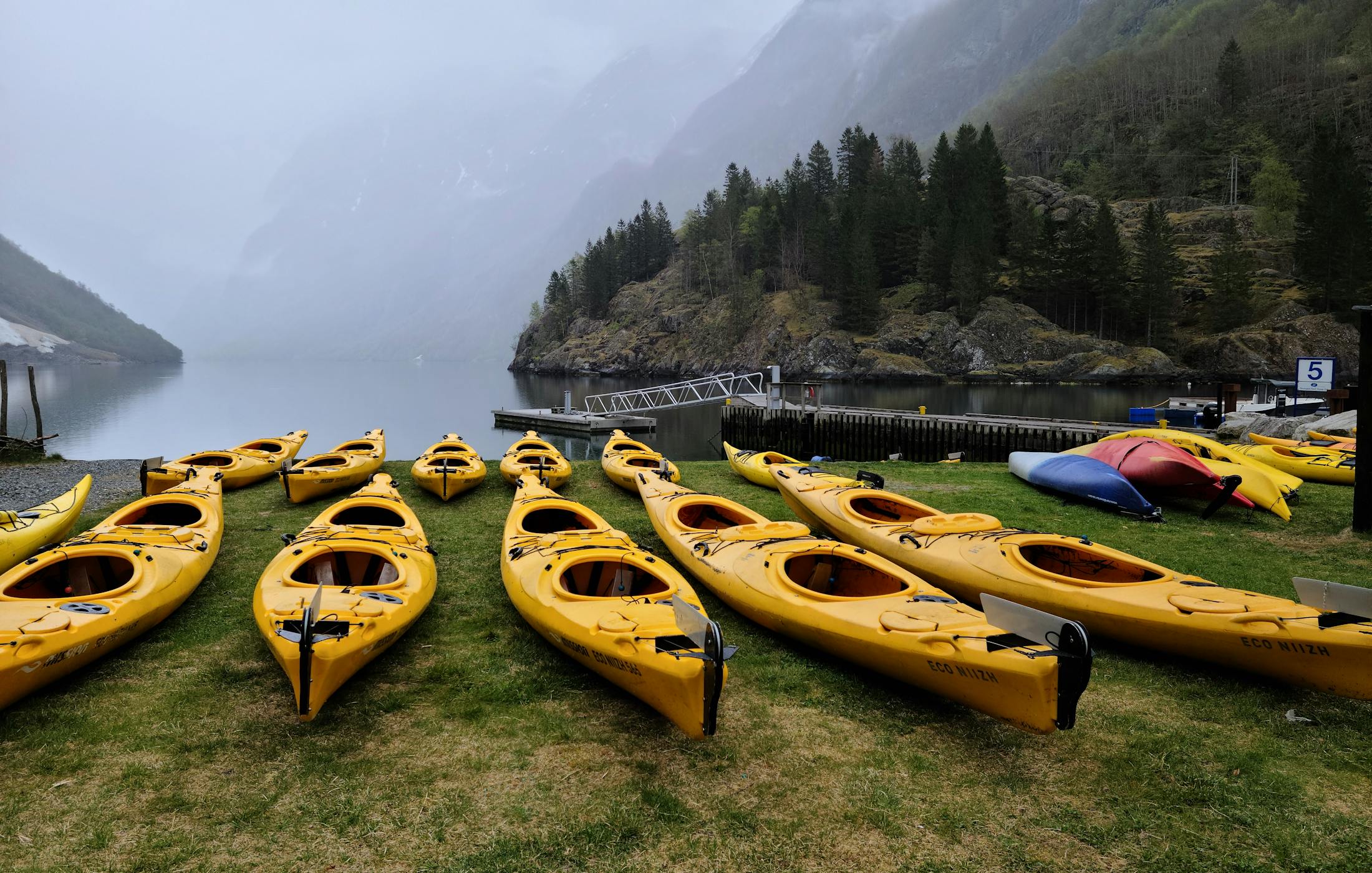 Kayaks lined up for guide and equipment coordination