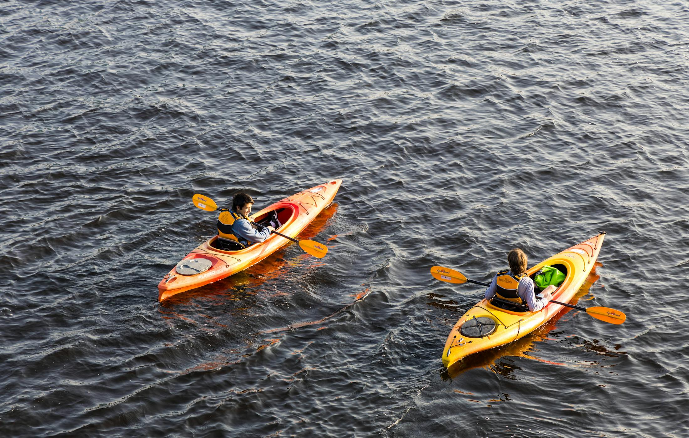 Participants kayaking on open water during an outdoor activity